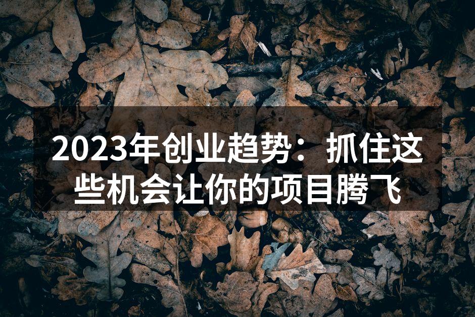 2023年创业趋势：抓住这些机会让你的项目腾飞