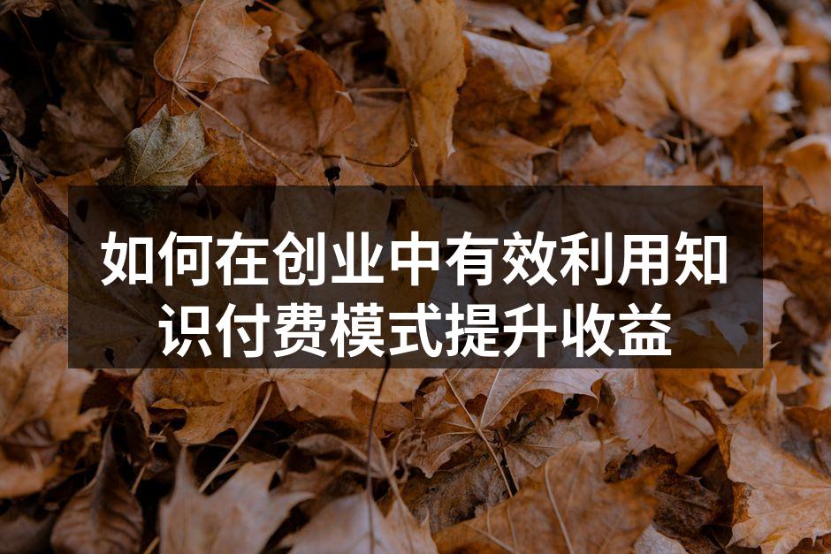 如何在创业中有效利用知识付费模式提升收益