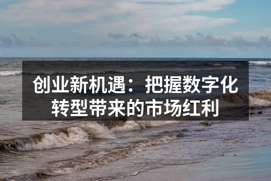 创业新机遇：把握数字化转型带来的市场红利